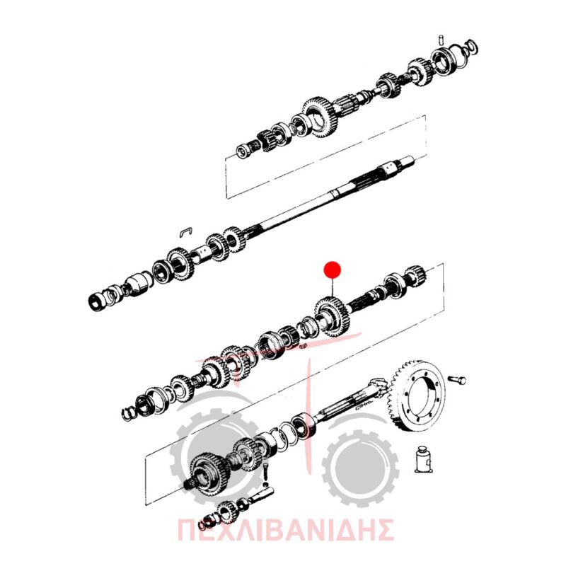 Γρανάζι σασμάν Landini 8550-8500-Frutteti