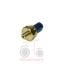 Φούσκα λαδιού κινητήρα Tier 3 Massey Ferguson 5600-6400-7495