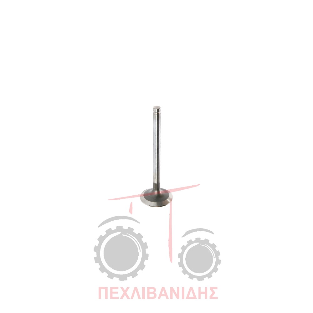Βαλβίδα εξαγωγής μηχανής 41.00x9.00x123.0/30° Massey Ferguson 3300-4200-4300-6200-8220