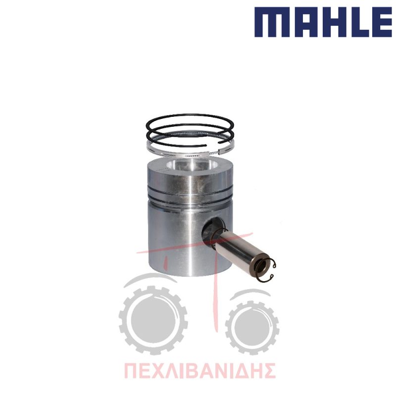Πιστόνι 101 LF - 4.248
