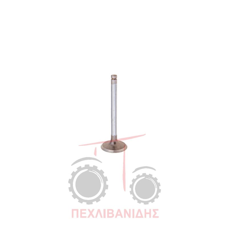 Βαλβίδα εισαγωγής μηχανής 45.00x9.50x122.9/45° Massey Ferguson 290-390-4200-6170 Βαλβίδα εισαγωγής μηχανής 45.00x9.50x122.9/45° Massey Ferguson 290-390-4200-6170