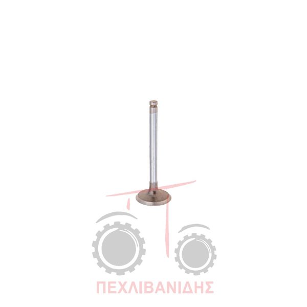 Βαλβίδα εισαγωγής μηχανής 45.00x9.50x122.9/45° Massey Ferguson 290-390-4200-6170