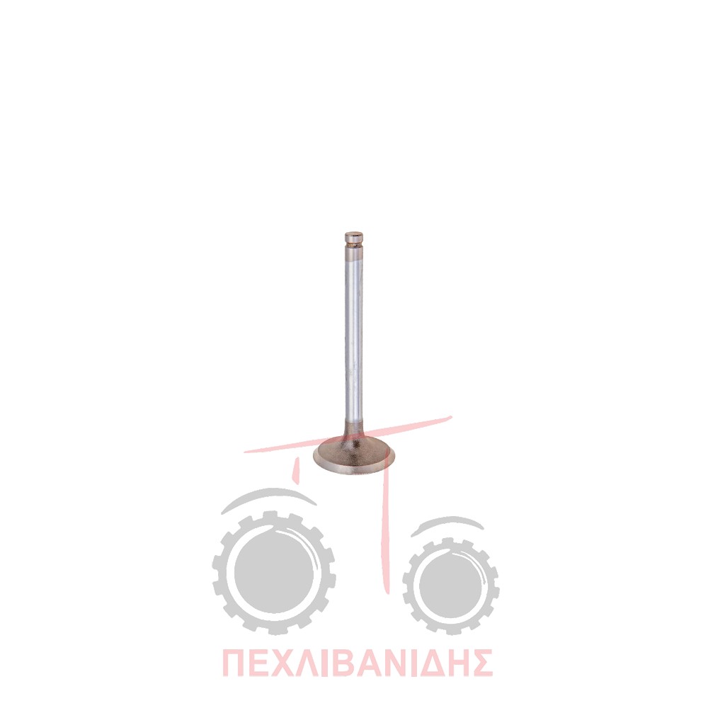 Βαλβίδα εισαγωγής μηχανής 45.00x9.50x122.9/45° Massey Ferguson 290-390-4200-6170
