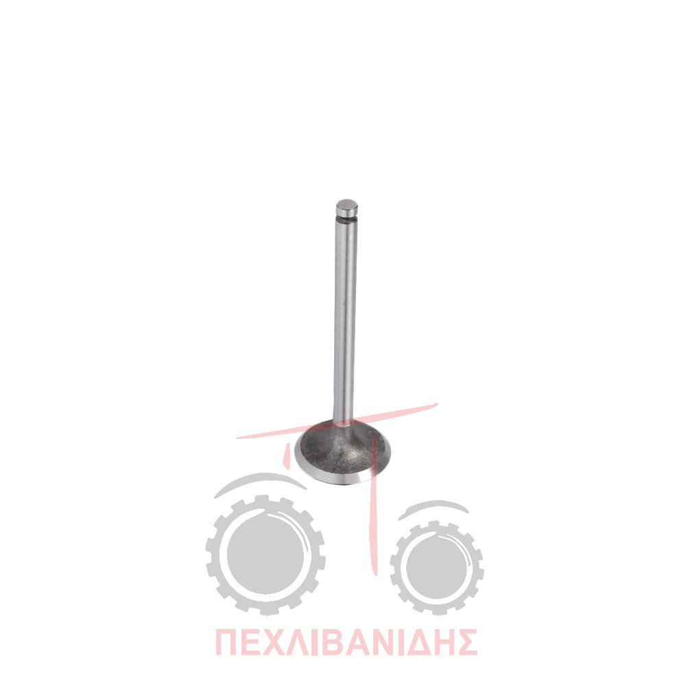 Βαλβίδα εισαγωγής μηχανής χαμηλής 39.00x7.90x114.3/45° Massey Ferguson 35-65