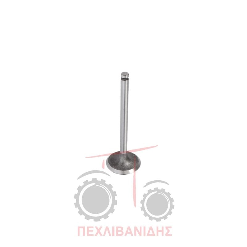 Βαλβίδα εισαγωγής μηχανής χαμηλής 39.00x7.90x114.3/45° Massey Ferguson 35-65