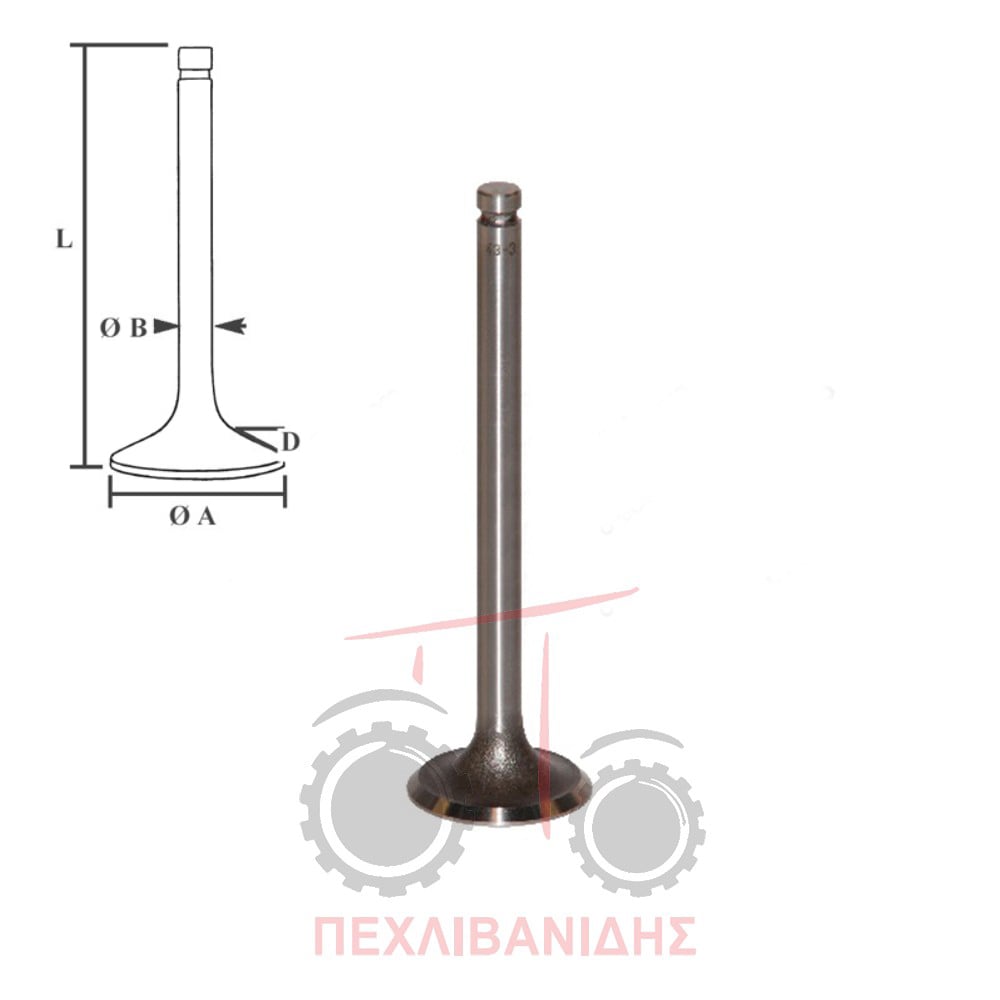 Βαλβίδα εξαγωγής ΙΜΤ - MF 35-65X