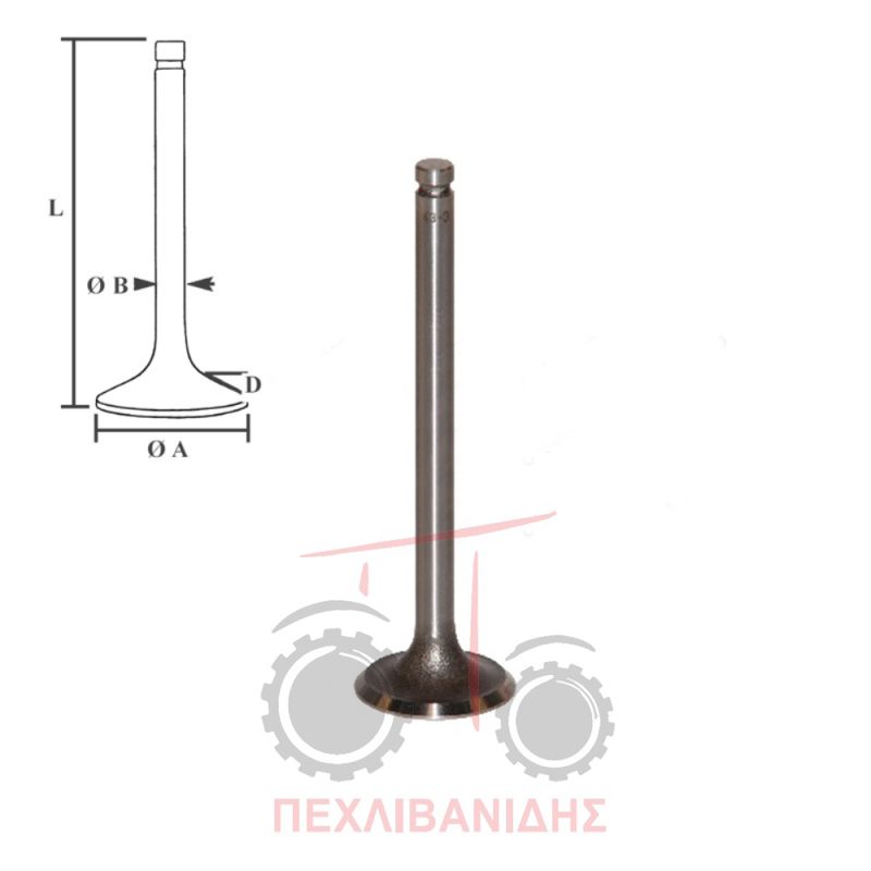 Βαλβίδα εξαγωγής ΙΜΤ - MF 35-65X