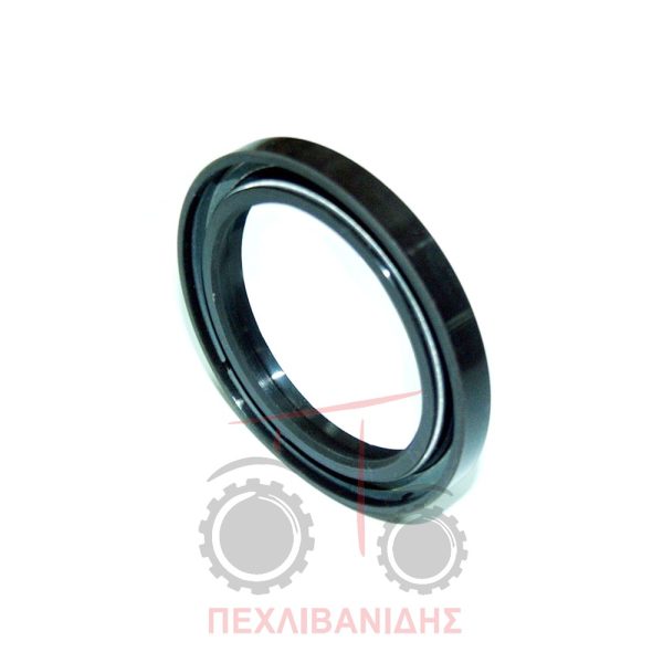 Τσιμούχα καθρέπτη Perkins 1004-1006