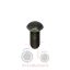 Pεγουλατόρος κοκοράκι Massey Ferguson 35-188-240-399-4260