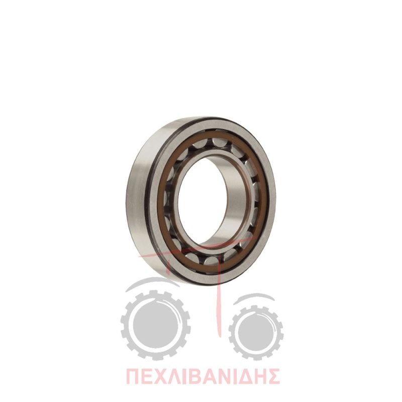 Ρουλεμάν σασμάν Landini 1014-1114-1134