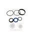 Σετ μπουκάλα τιμόνι πλάι Massey Ferguson 340-390-399
