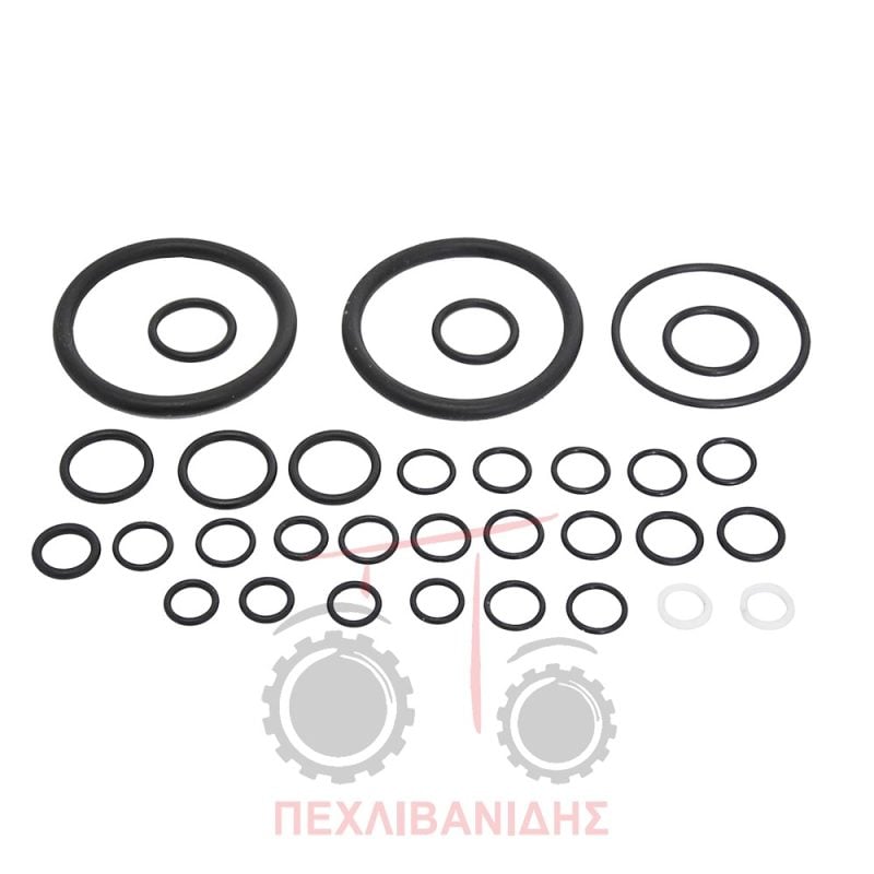 Σετ όρινγκ αντλίας υδραυλικού Massey Ferguson 35-135-165-177-188