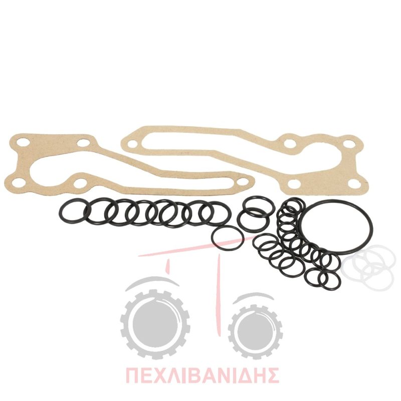 Σετ Όρινγκ αντλίας υδραυλικού Massey Ferguson 135-165