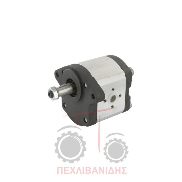 Αντλία υδραυλικού Landini 5860-Advantage-Frutteti