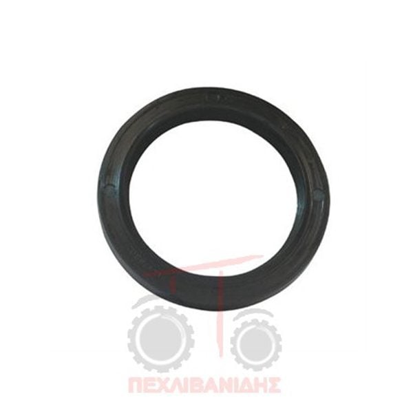 Tσιμούχα καθρέπτη Perkins 212-236-248-1004-1006-6354