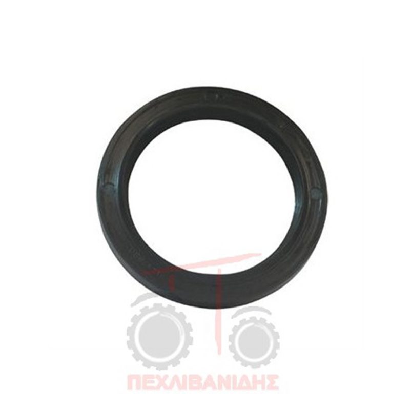 Tσιμούχα καθρέπτη Perkins 212-236-248-1004-1006-6354