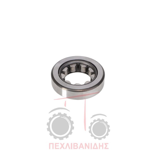 Ρουλεμάν PTO 38x80x21 Massey Ferguson 2640-2680-3600-6499-8100-8200
