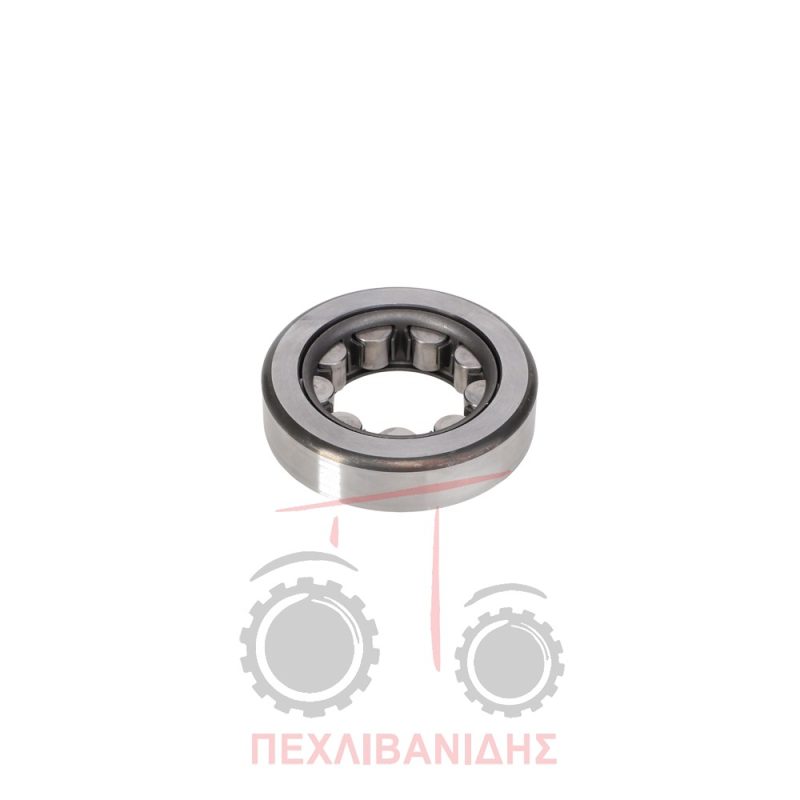 Ρουλεμάν PTO 38x80x21 Massey Ferguson 2640-2680-3600-6499-8100-8200 Ρουλεμάν PTO 38x80x21 Massey Ferguson 2640-2680-3600-6499-8100-8200