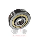 Ρουλεμάν PTO Massey Ferguson 2640-2680-3655-3690 Ρουλεμάν PTO Massey Ferguson 2640-2680-3655-3690