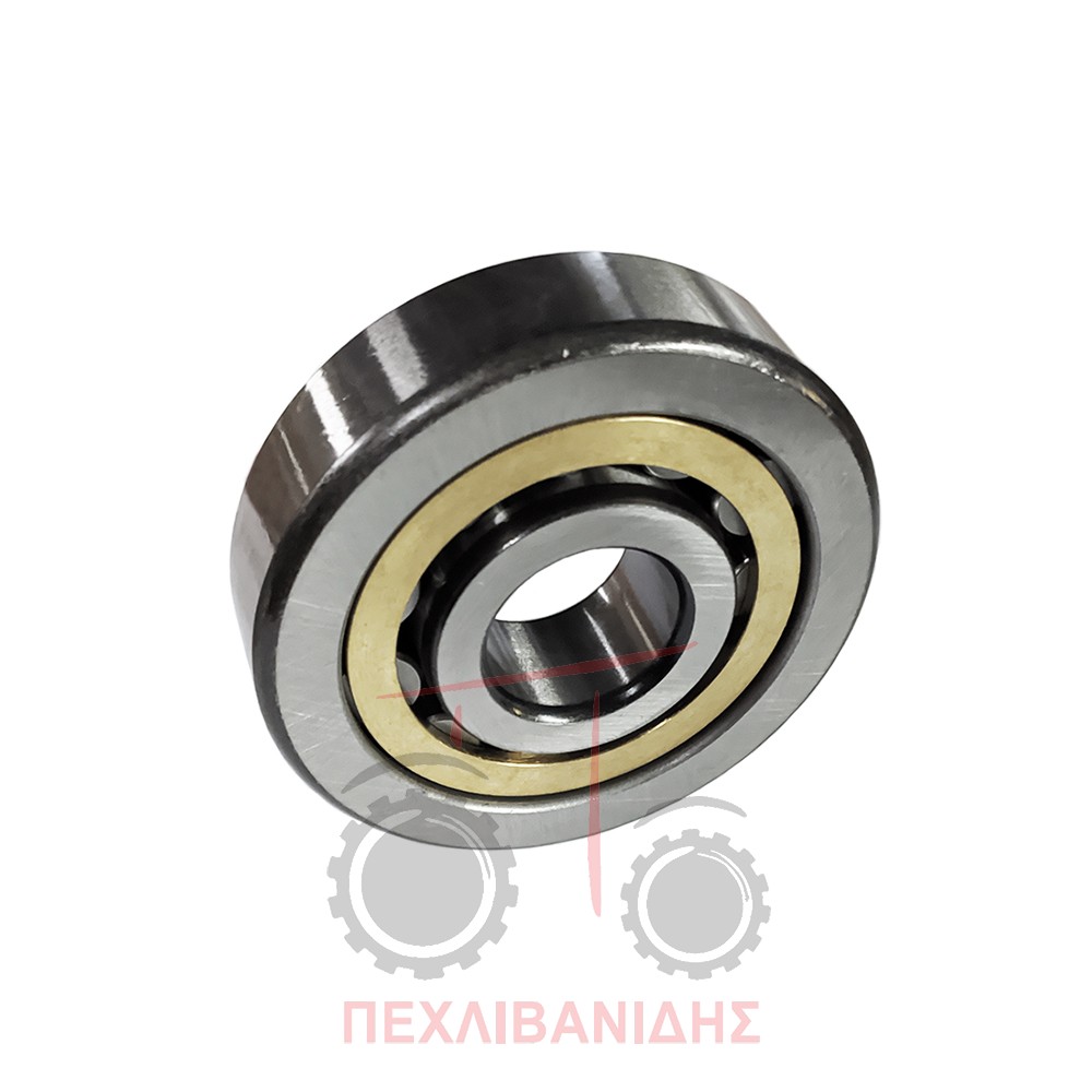 Ρουλεμάν PTO Massey Ferguson 2640-2680-3655-3690