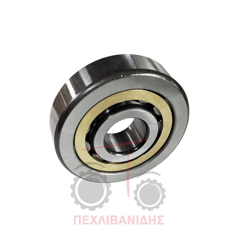 Ρουλεμάν PTO Massey Ferguson 2640-2680-3655-3690 Ρουλεμάν PTO Massey Ferguson 2640-2680-3655-3690