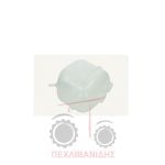 Δοχείο νερού Fiat F100-F110-F120-F130-F140 Δοχείο νερού Fiat F100-F110-F120-F130-F140