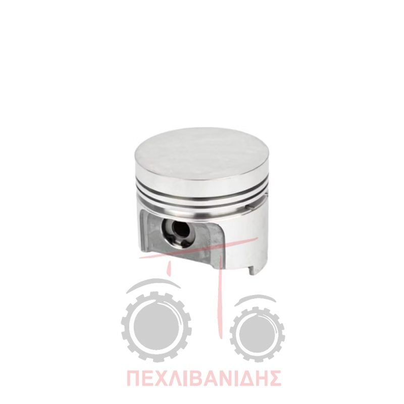 Πιστόνι 75+3 ελατήρια Perkins 103.10 Πιστόνι 75+3 ελατήρια Perkins 103.10