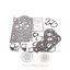 Φλάτζα κάτω σετ Massey Ferguson 1006.6-1006.60