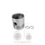 Πιστόνι κανάλια Massey Ferguson 114 4 298-595-1080