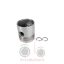 Πιστόνι κανάλια Massey Ferguson 114 4 298-595-1080