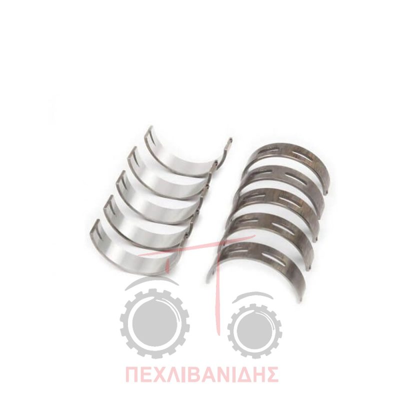 Κουζινέτο βάση Common rail Massey Ferguson 010 1106