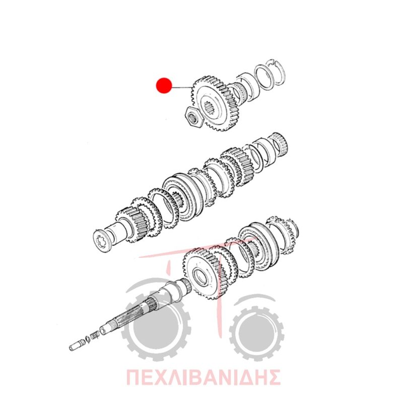 Γρανάζι κάτω άξονα εμπρός Massey Ferguson 6180 Γρανάζι κάτω άξονα εμπρός Massey Ferguson 6180