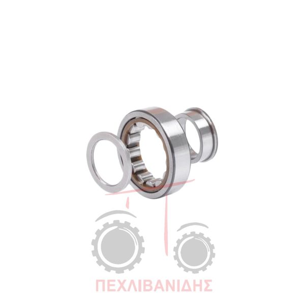 Ρουλεμάν σασμάν 60x110x28 Landini Landpower-12500-Legend