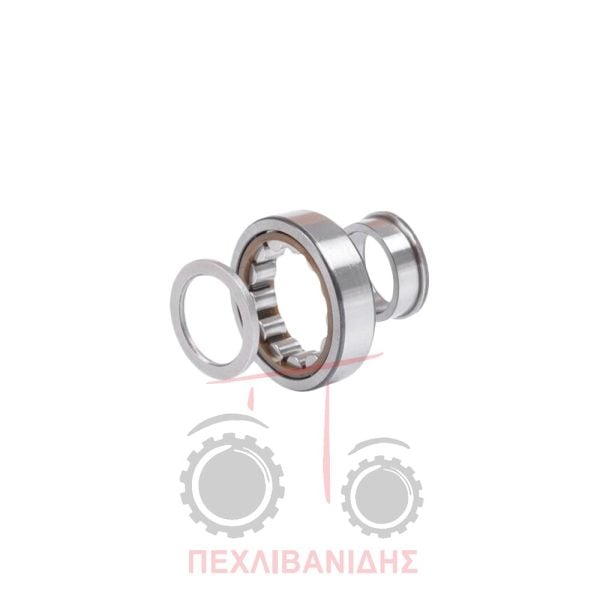 Ρουλεμάν σασμάν 60x110x28 Landini Landpower-12500-Legend