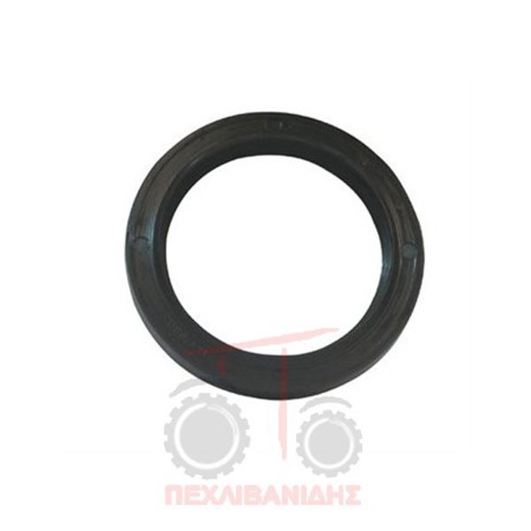 Tσιμούχα καθρέπτη Perkins 212-236-248-1004-1006-6354