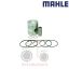 Πιστόνι 98 Mahle 236