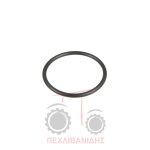 Όρινγκ διαφορικού Massey Ferguson 3300-3400 Όρινγκ διαφορικού Massey Ferguson 3300-3400