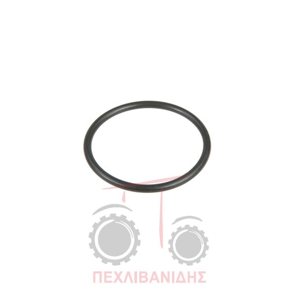 Όρινγκ διαφορικού Massey Ferguson 3300-3400