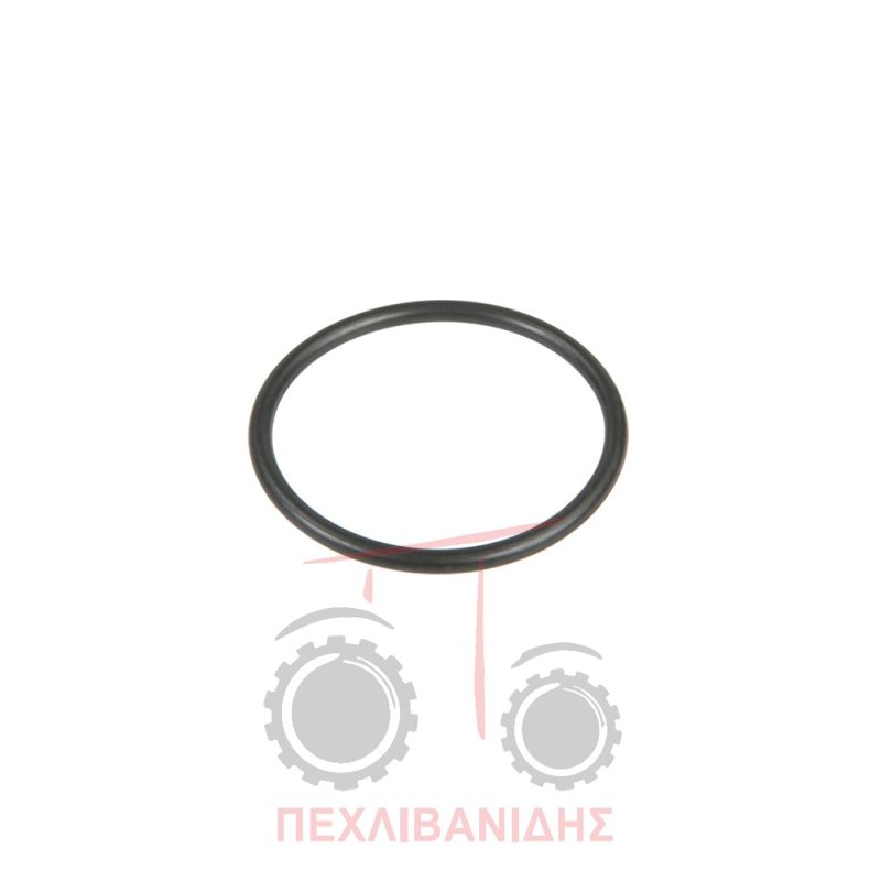 Όρινγκ διαφορικού Massey Ferguson 3300-3400
