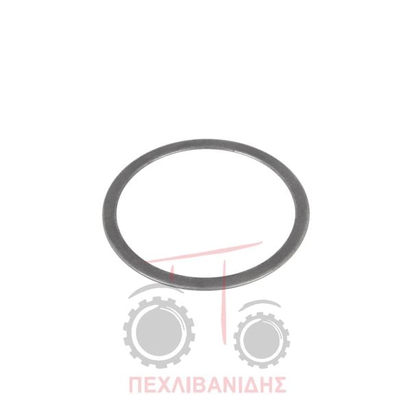 Ροδέλα μπροστινού Massey Ferguson 290-390-675-690