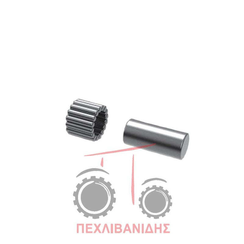 Πείρος ρουλεμάν Massey Ferguson 290-390-399-4200