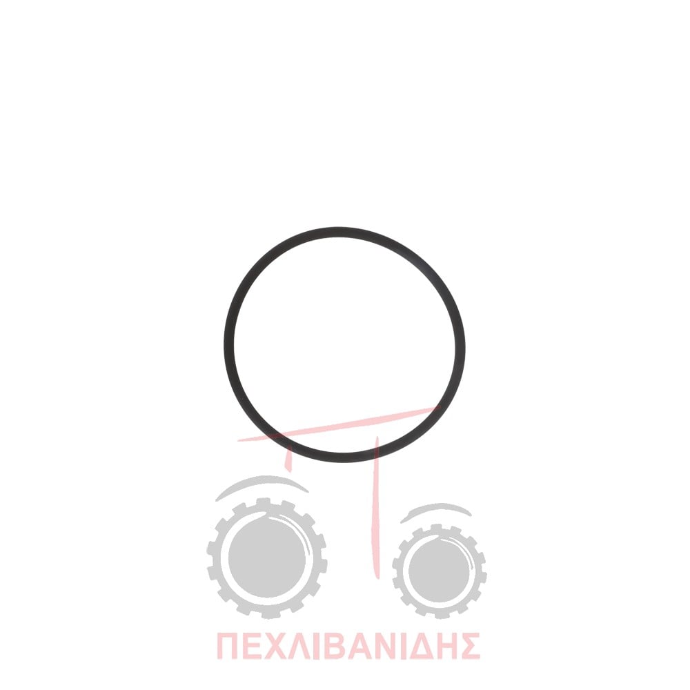 Όρινγκ καβαλέτου μπροστά διαφορικού 109.50x5.34 Massey Ferguson 174-194-274-294-3125-3645-3690-394