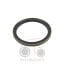 Τσιμούχα μειωτήρα Massey Ferguson 394-390-3080-3680