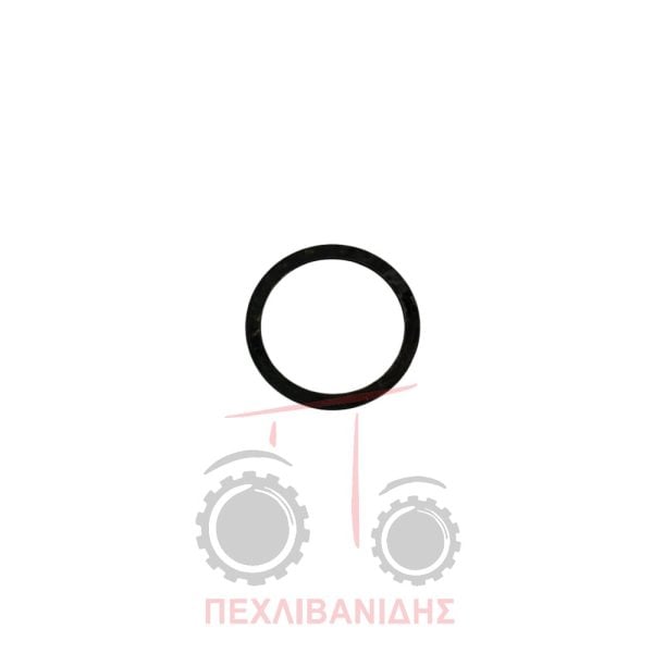 Ροδέλα σασμάν άξονα πίσω Landini 5500-6500-6530-8530