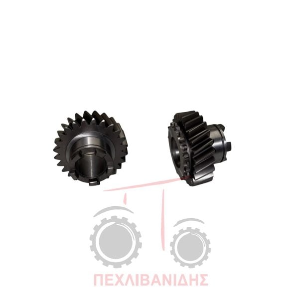 Γρανάζι σασμάν 25δ,24κ λοξά Landini Rex-374-394-8880-9880