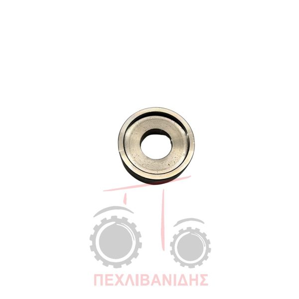 Δαχτυλίδι κορώνα πίσω διαφορικό Landini Landpower-Legend-Serie 6L