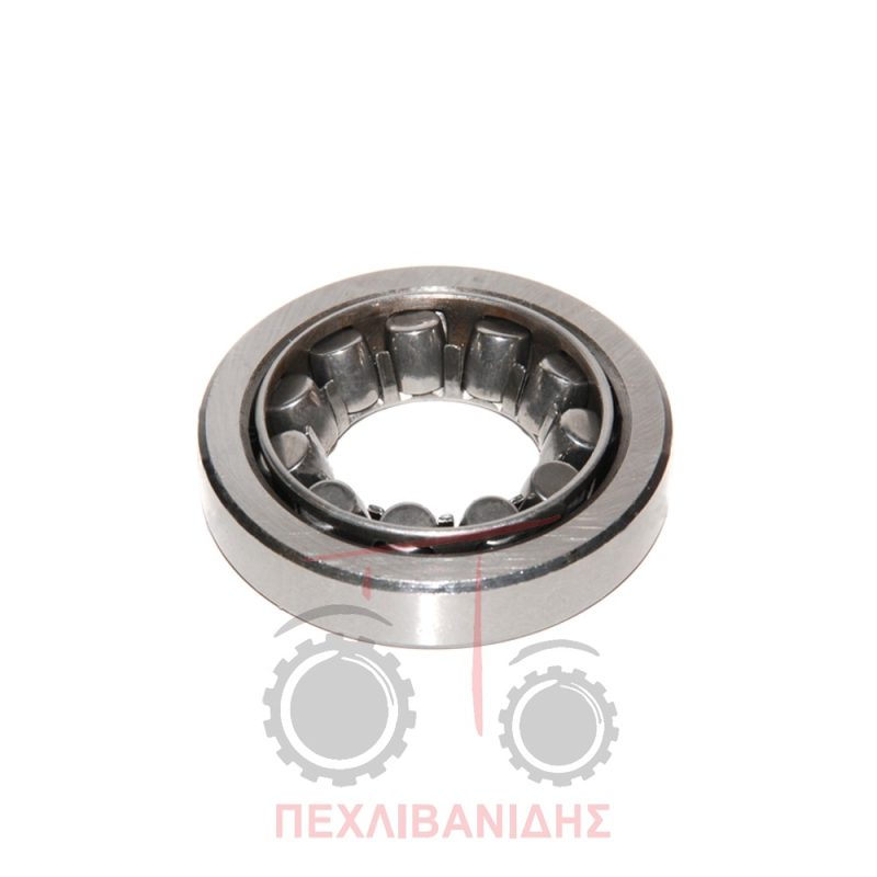 Ρουλεμάν ατέρμωνα Ford 2000-3000-3600 Ρουλεμάν ατέρμωνα Ford 2000-3000-3600