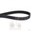 Iμάντας δυναμού 6PK-1844 Massey Ferguson 6600-7600
