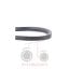 Ιμάντας δυναμού μηχανής Massey Ferguson 290-590-4200-4300