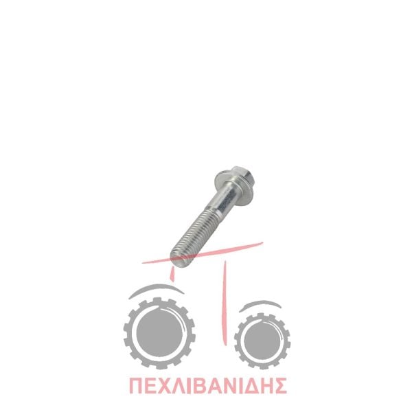 Βίδες αντλίας λαδιού μηχανής Massey Ferguson 3400